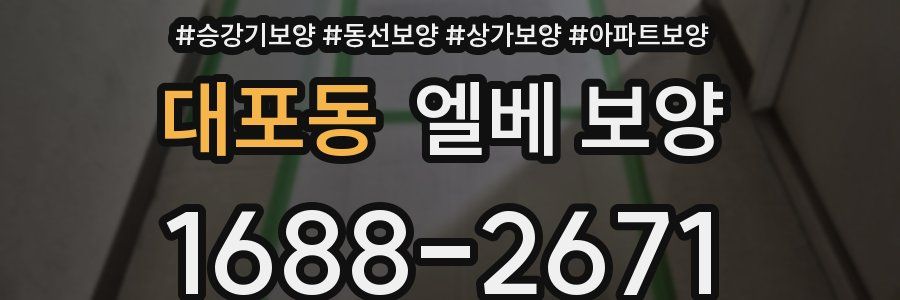 대포동 엘베 보양