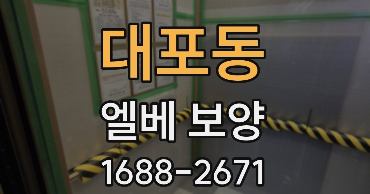 대포동 엘베 보양