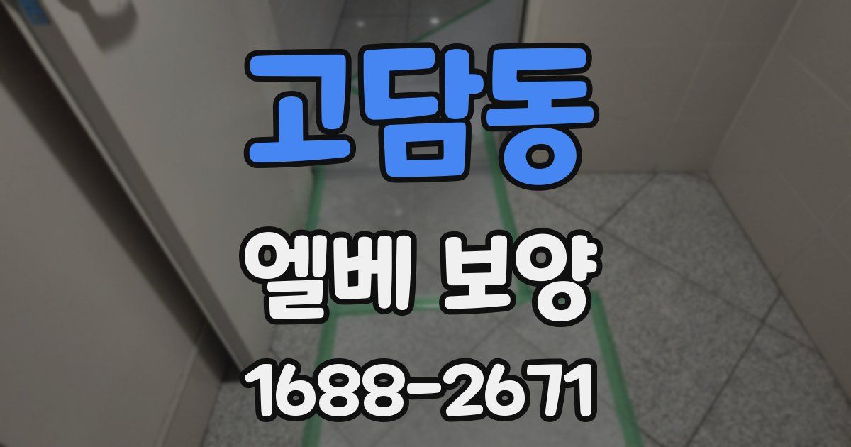 고담동 엘베 보양