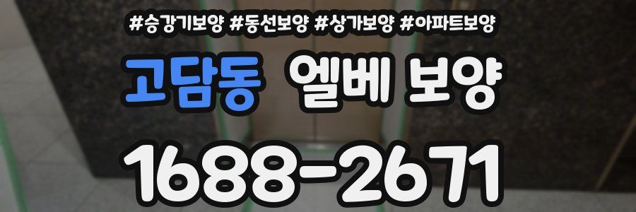 고담동 엘베 보양