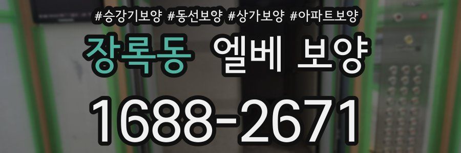 장록동 엘베 보양