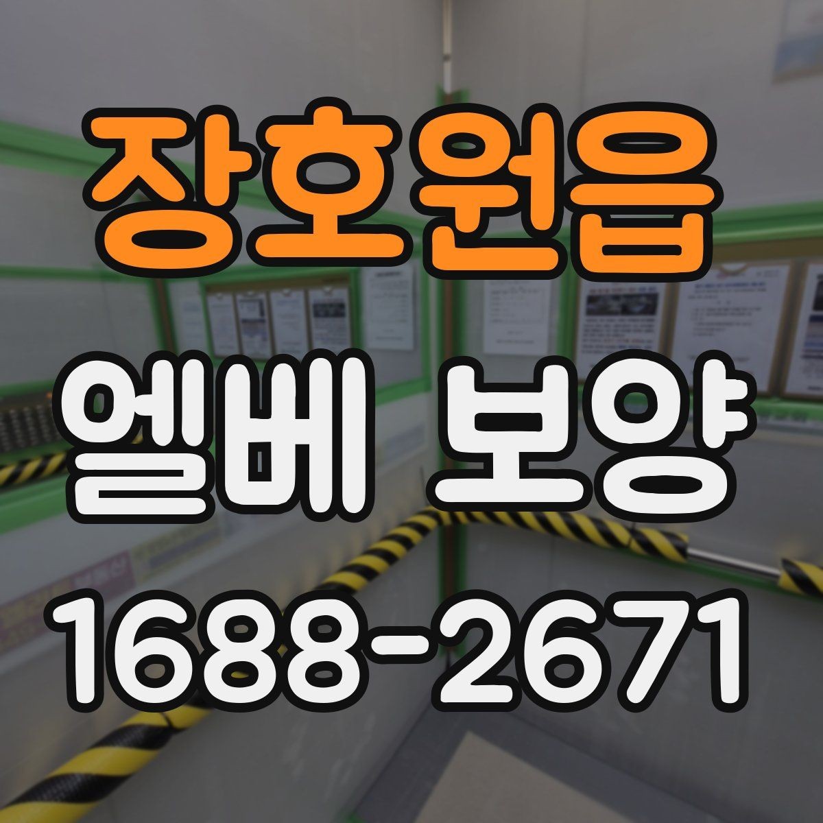 장호원읍 엘베 보양 보양 사진 기록이 필요한 현장 운영 포인트