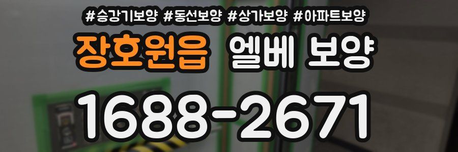 장호원읍 엘베 보양