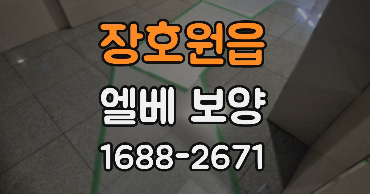 장호원읍 엘베 보양