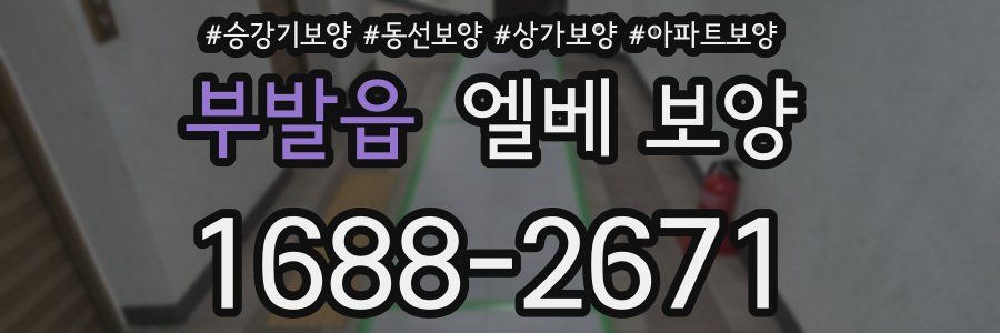 부발읍 엘베 보양
