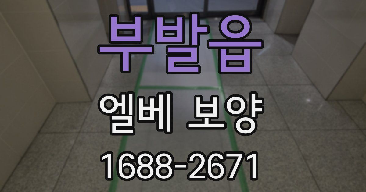 부발읍 엘베 보양