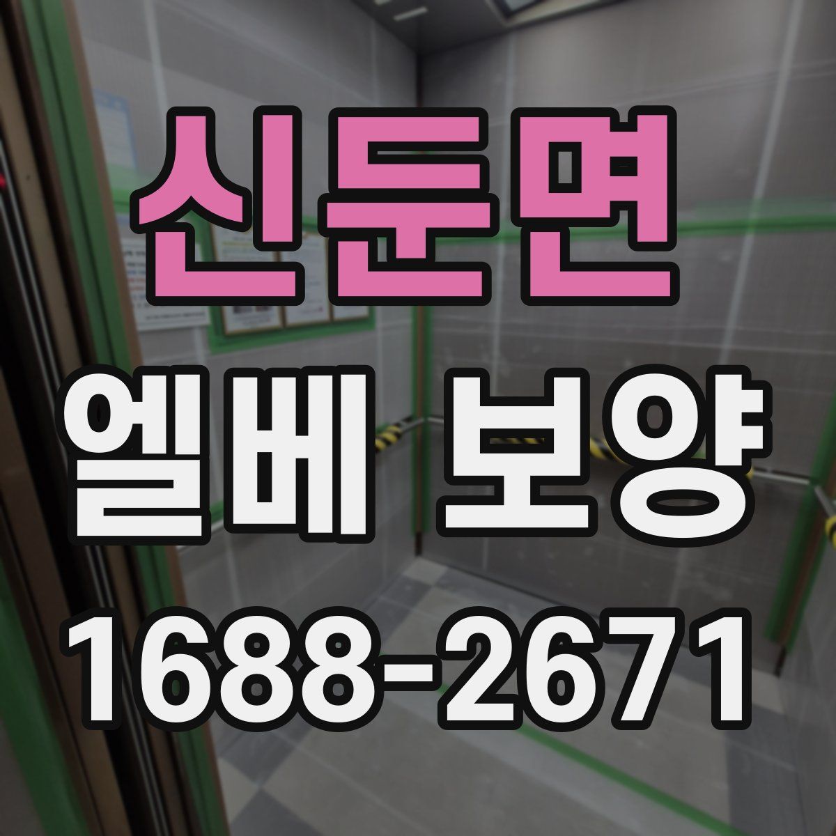 신둔면 엘베 보양