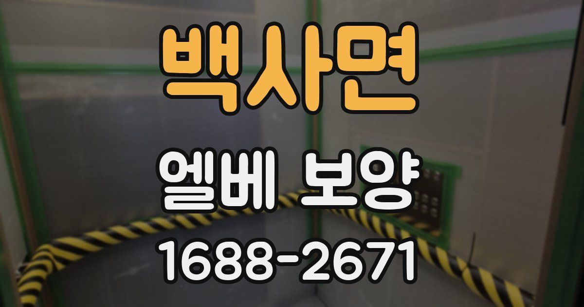 백사면 엘베 보양