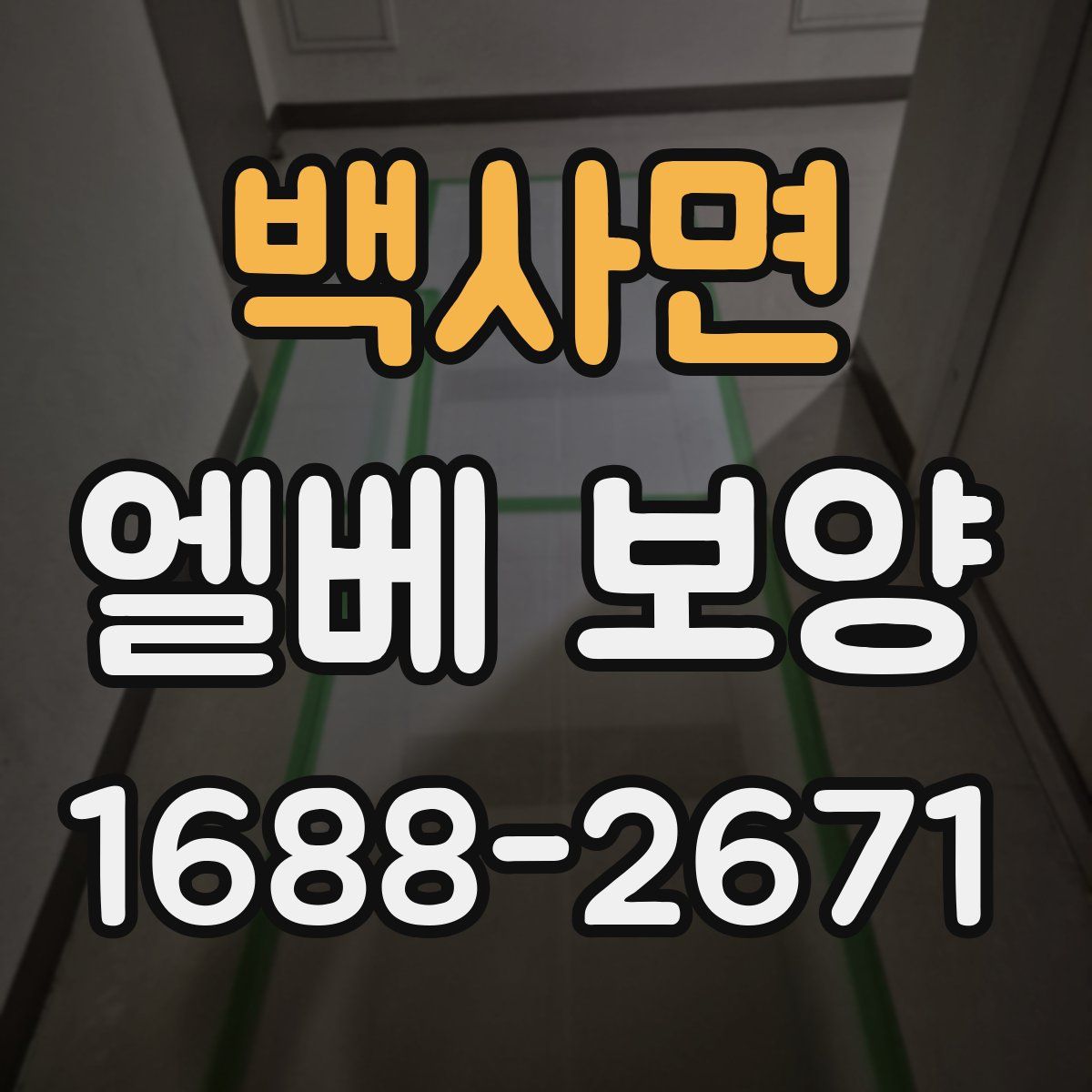 백사면 엘베 보양