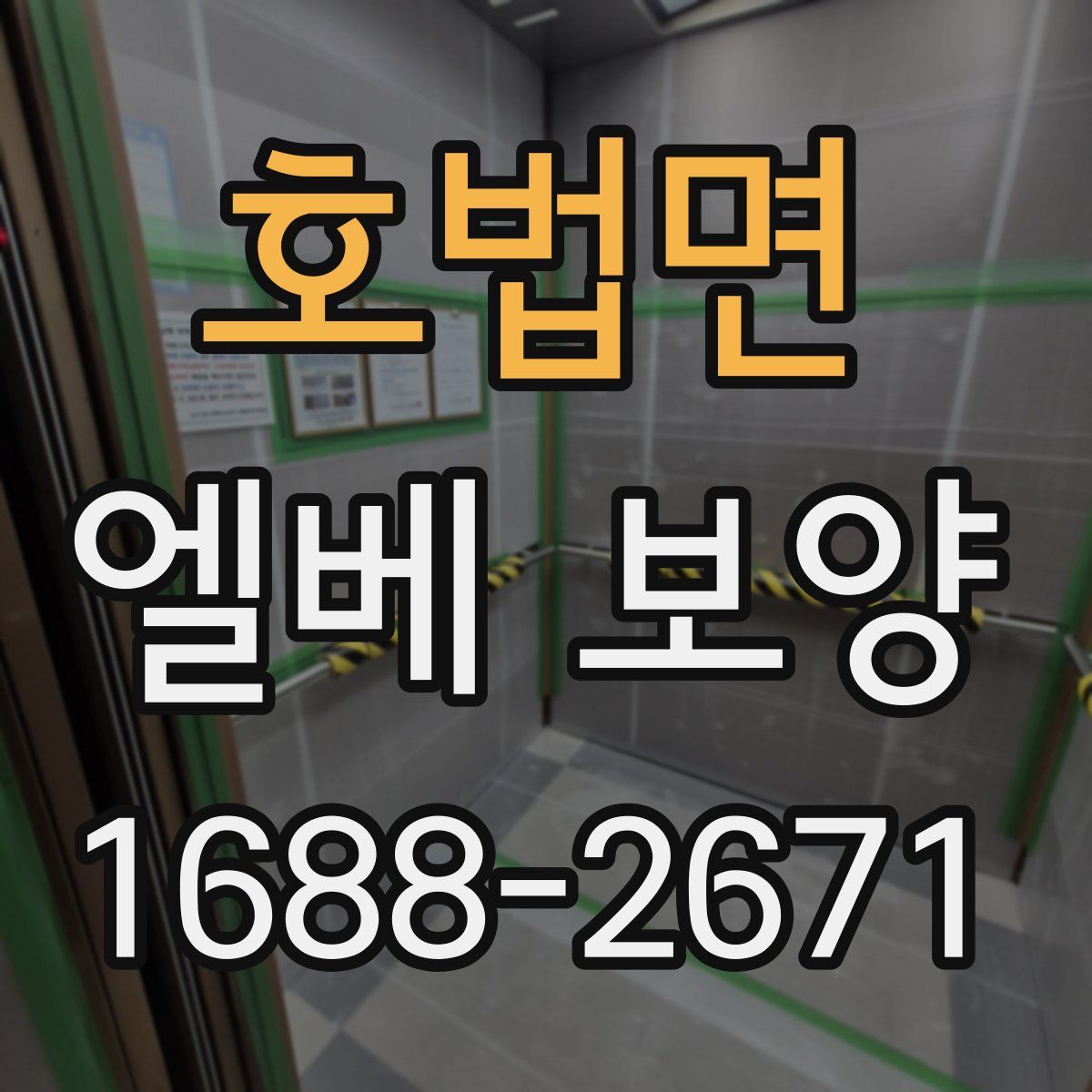 호법면 엘베 보양