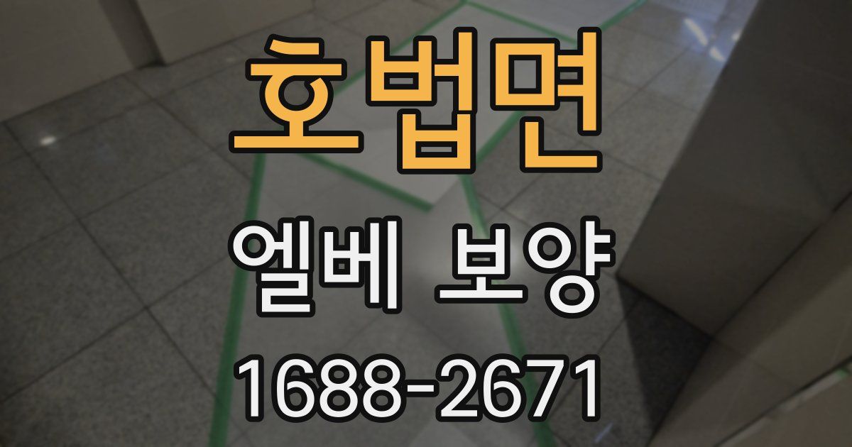 호법면 엘베 보양