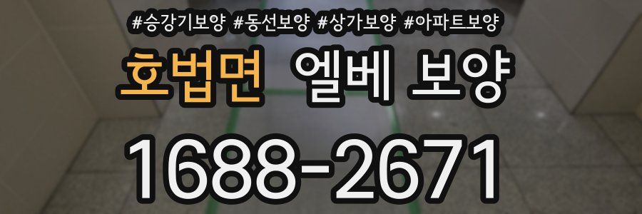 호법면 엘베 보양