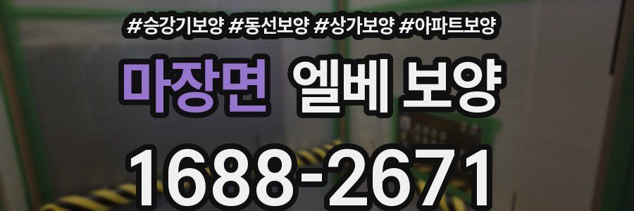 마장면 엘베 보양