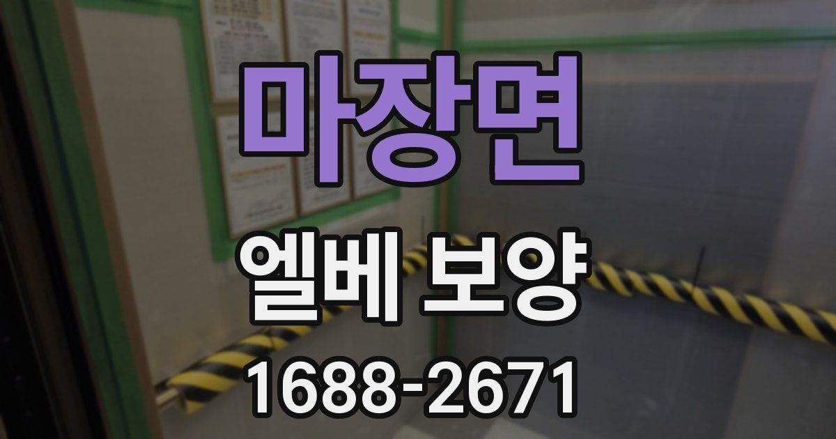 마장면 엘베 보양