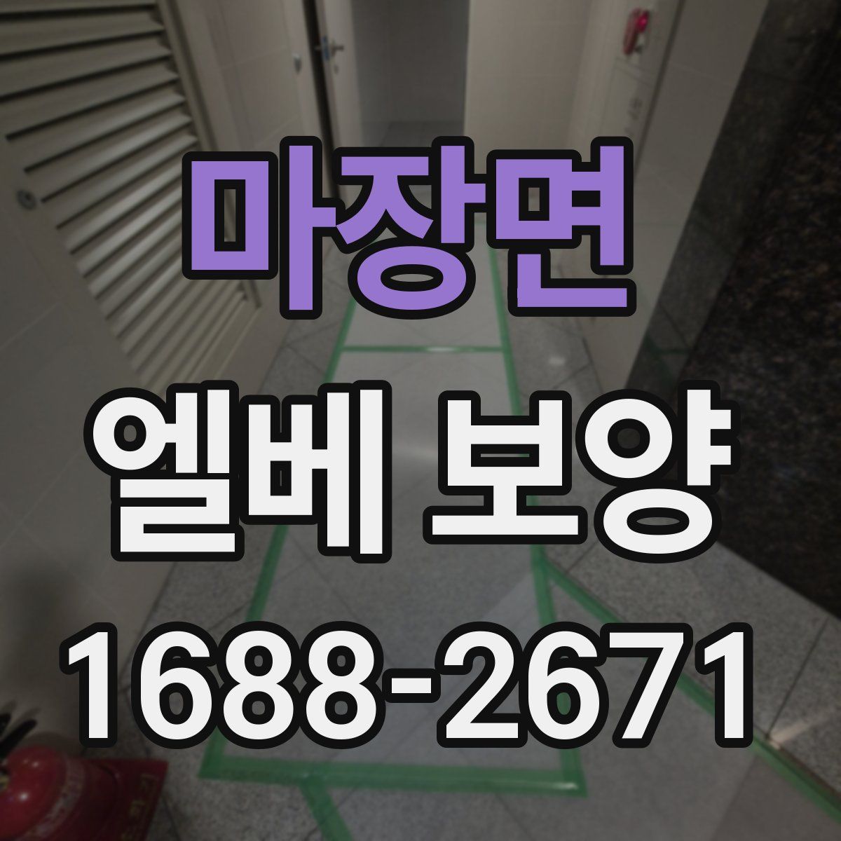 마장면 엘베 보양