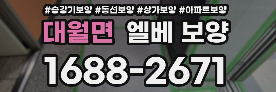 대월면 엘베 보양