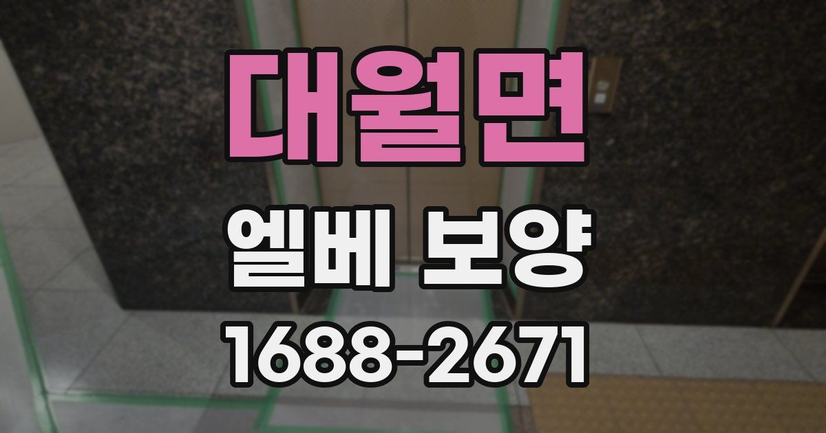 대월면 엘베 보양