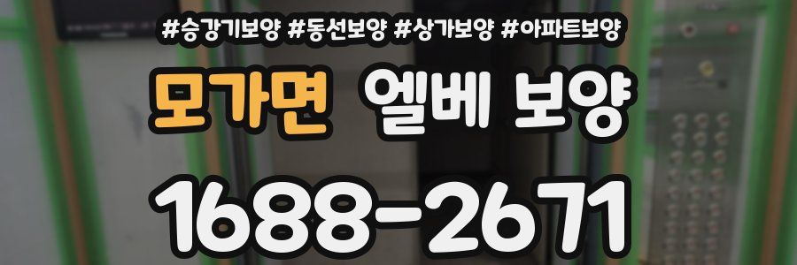 모가면 엘베 보양
