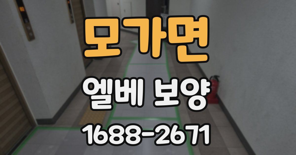 모가면 엘베 보양