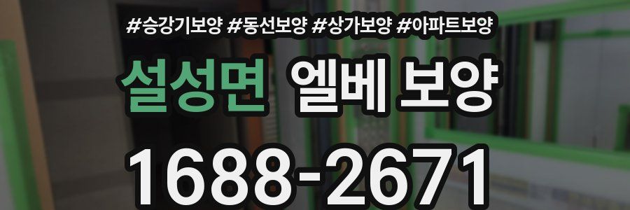 설성면 엘베 보양