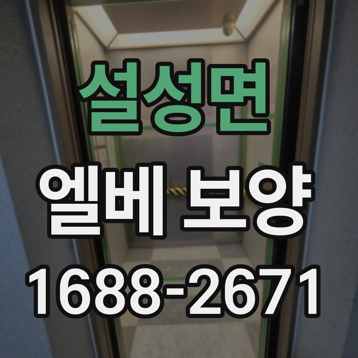 설성면 엘베 보양