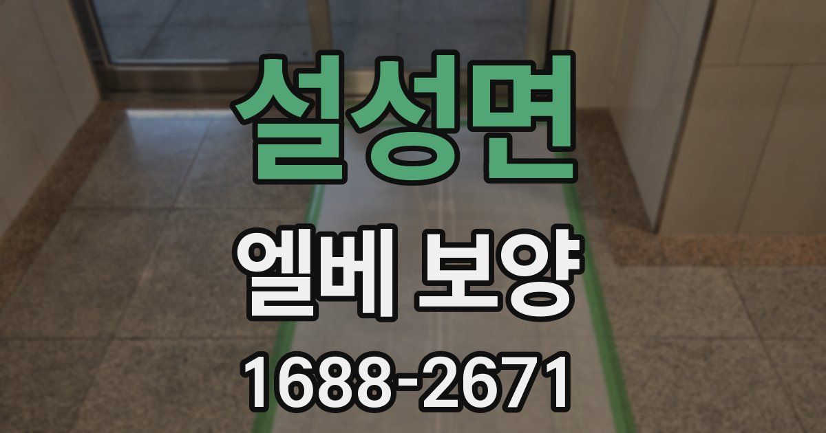 설성면 엘베 보양