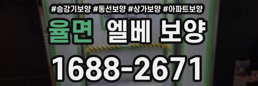 율면 엘베 보양