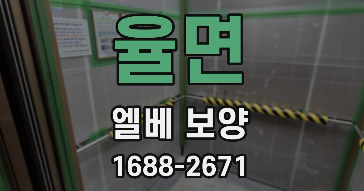 율면 엘베 보양