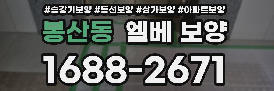 봉산동 엘베 보양
