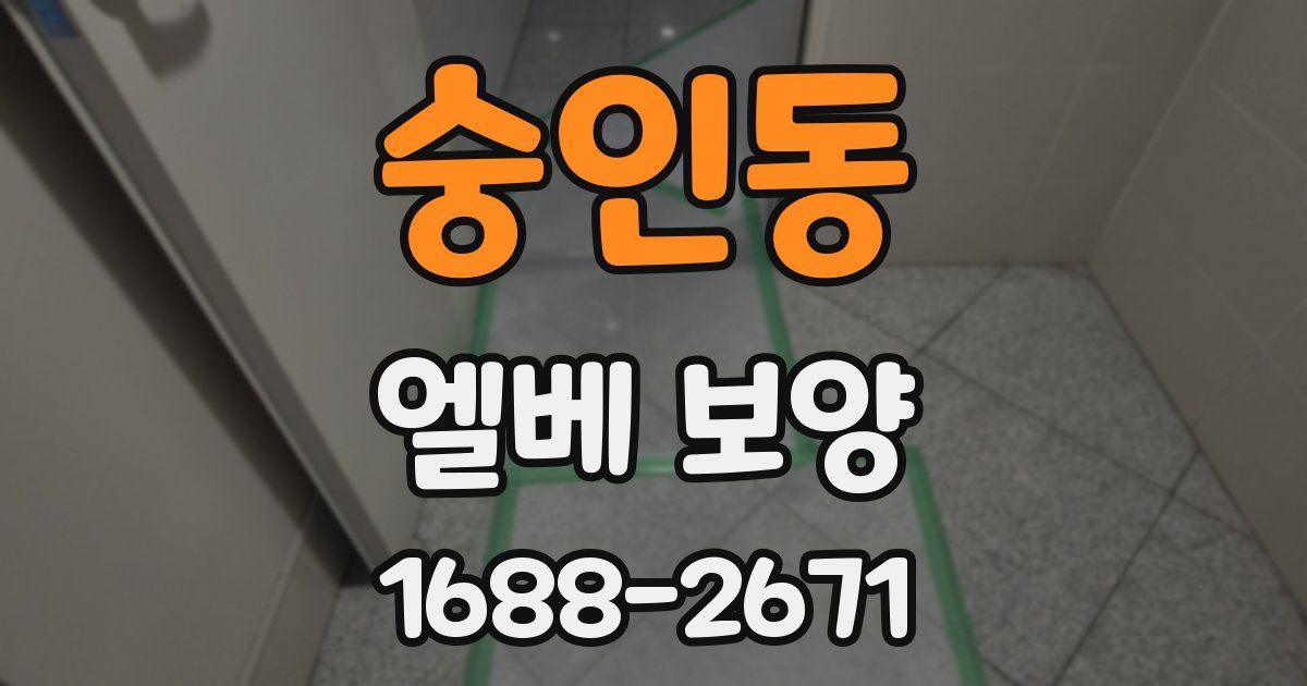 숭인동 엘베 보양