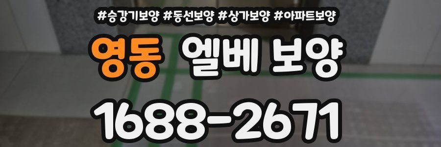 영동 엘베 보양