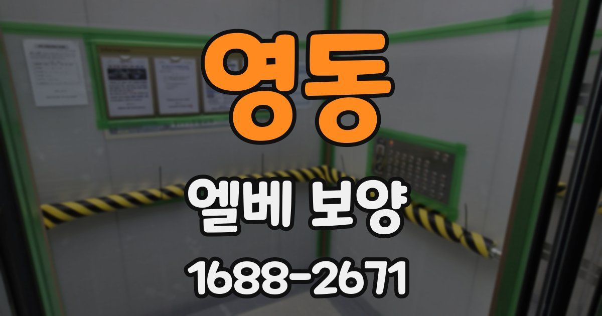 영동 엘베 보양