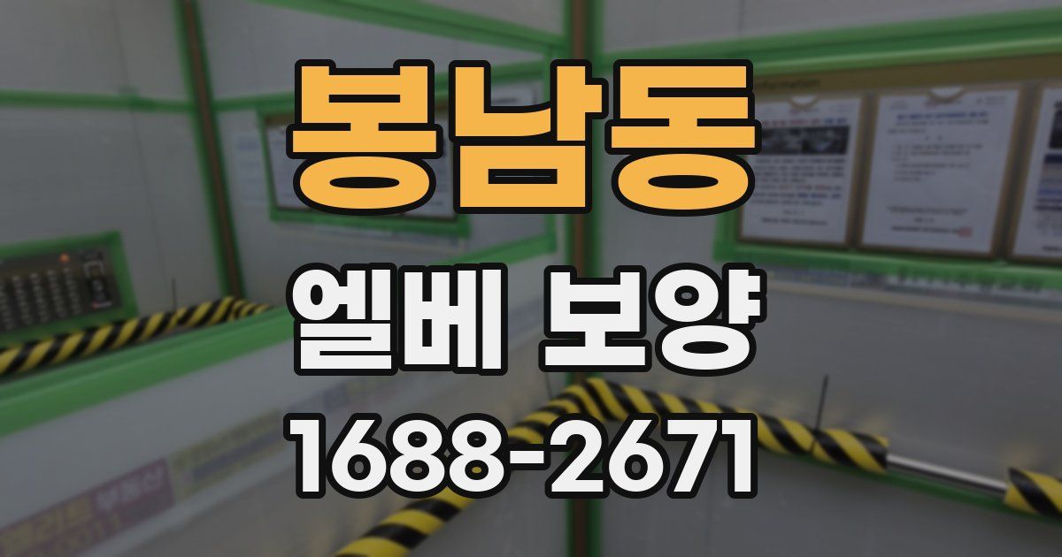 봉남동 엘베 보양