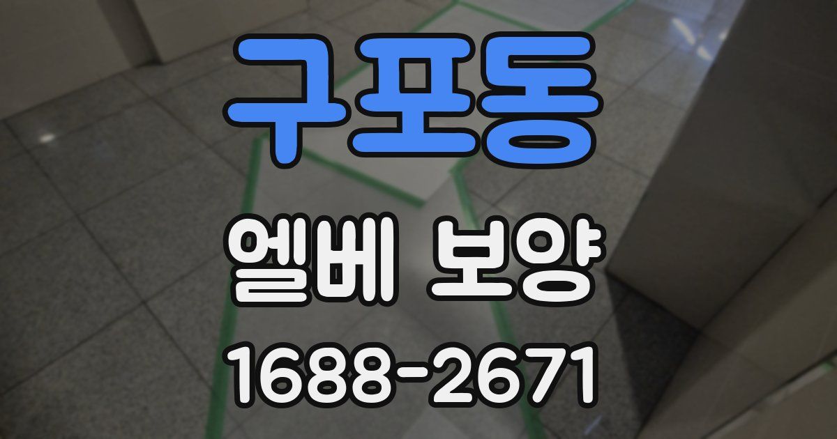 구포동 엘베 보양