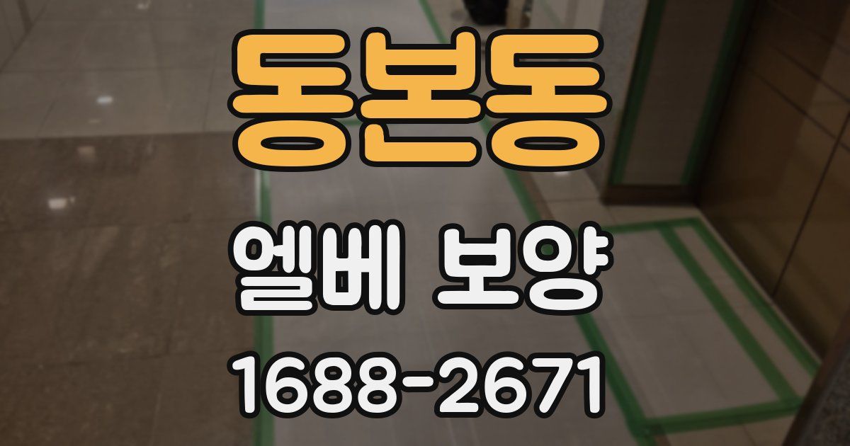 동본동 엘베 보양
