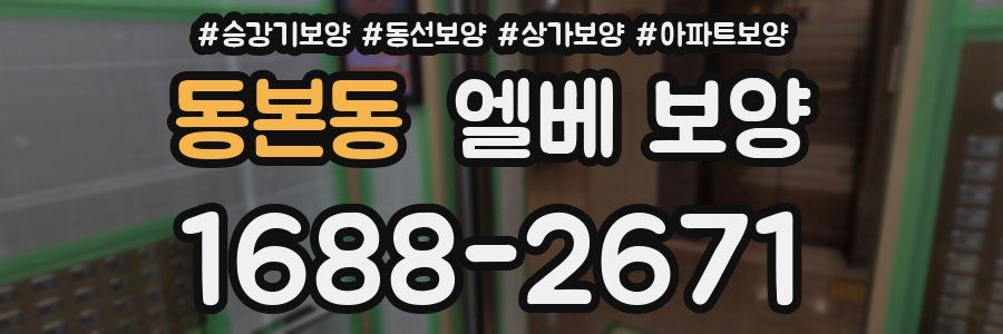 동본동 엘베 보양