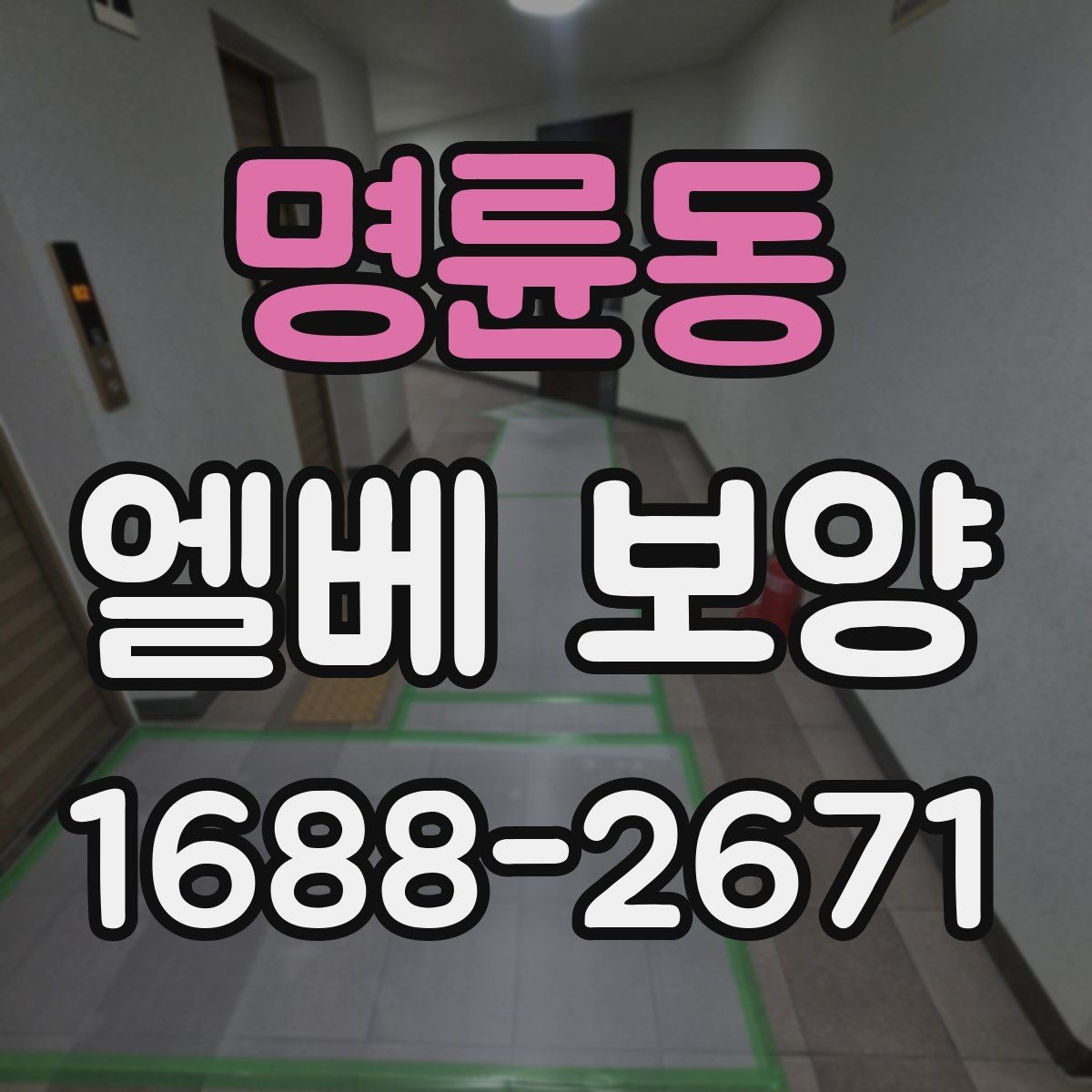 명륜동 엘베 보양 대형 이사 현장에 맞는 보호 범위 설정