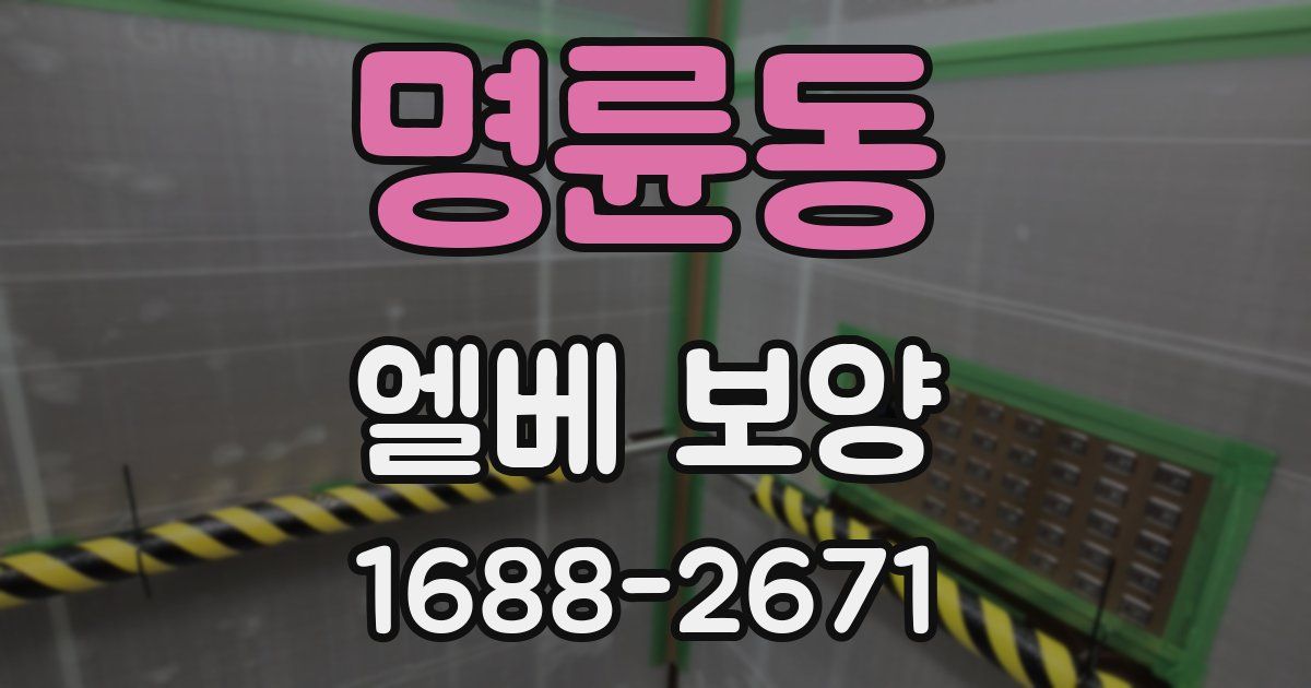 명륜동 엘베 보양