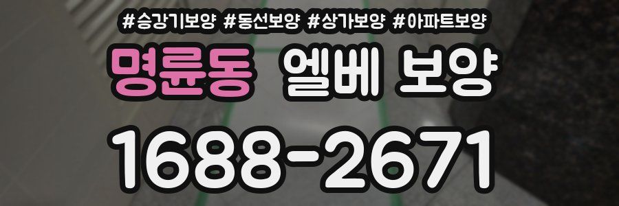 명륜동 엘베 보양