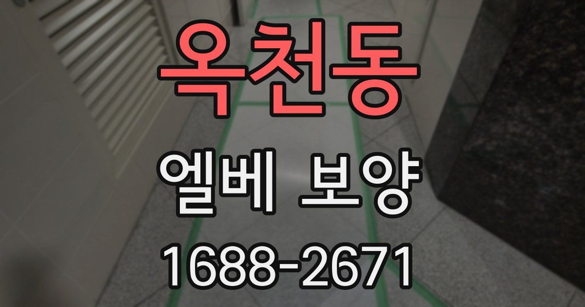 옥천동 엘베 보양