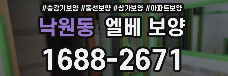 낙원동 엘베 보양