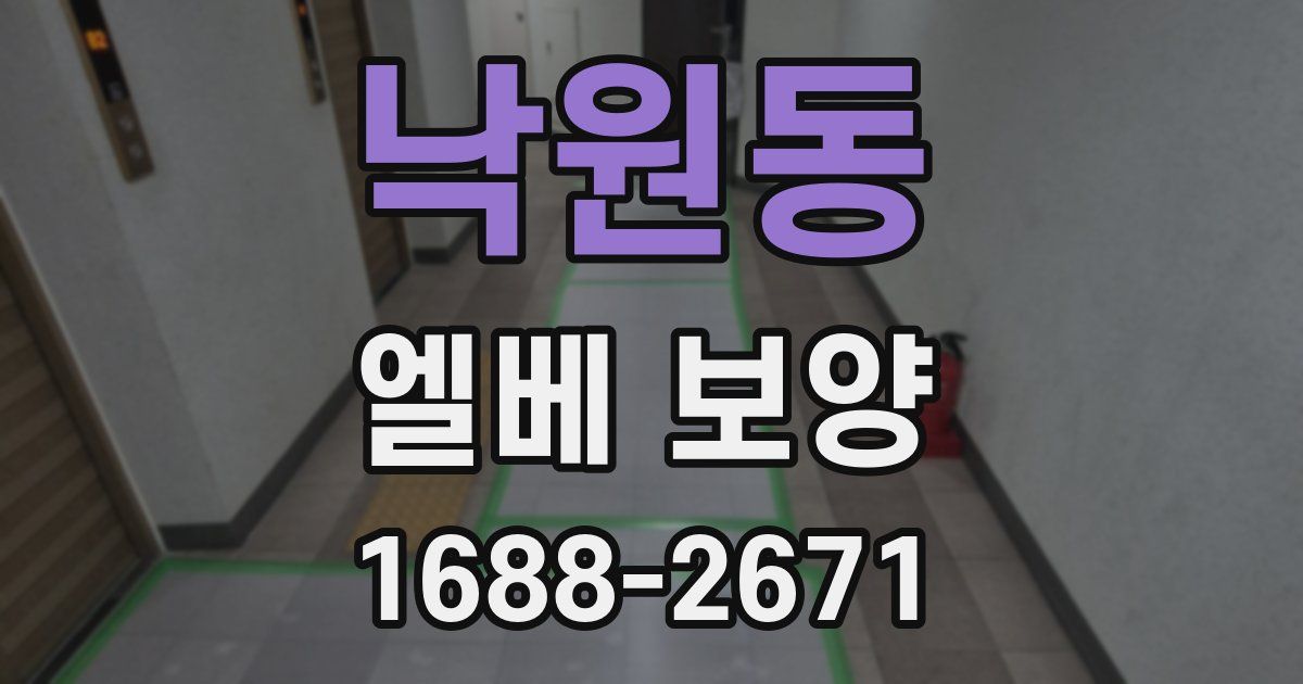낙원동 엘베 보양