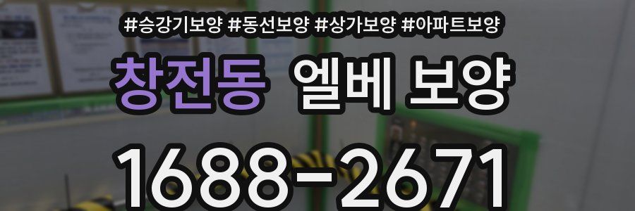 창전동 엘베 보양
