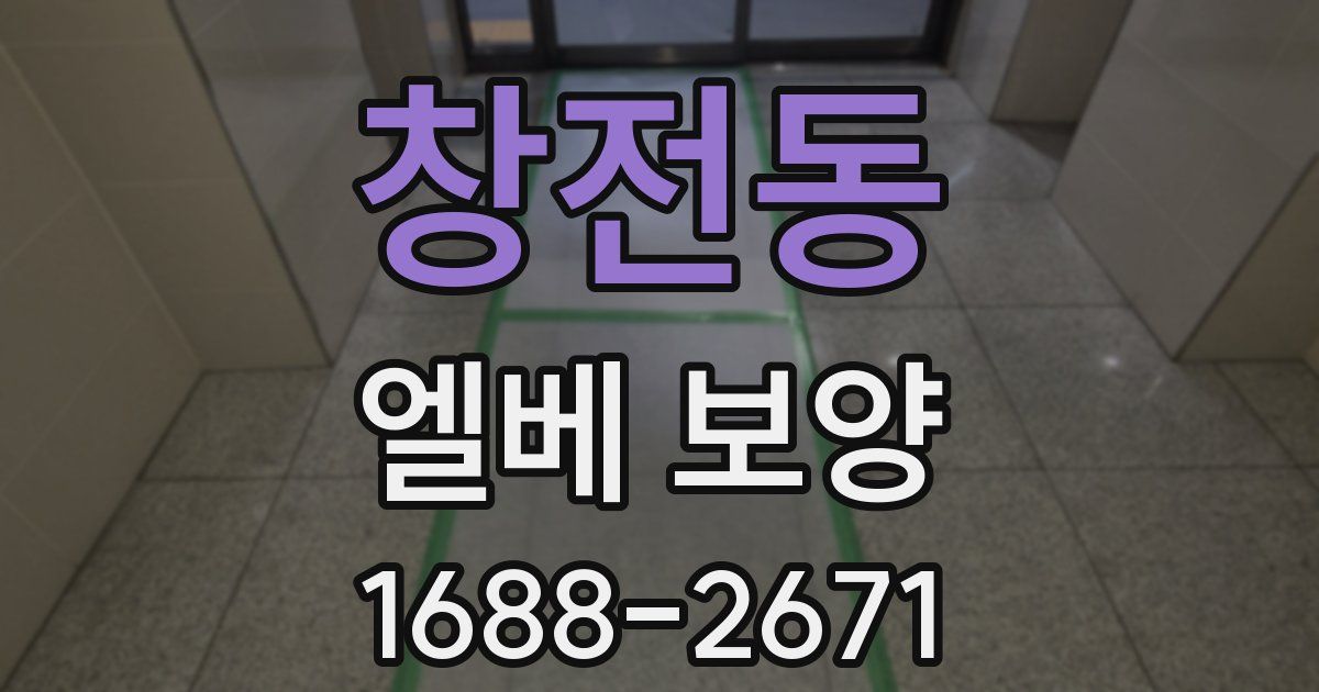창전동 엘베 보양