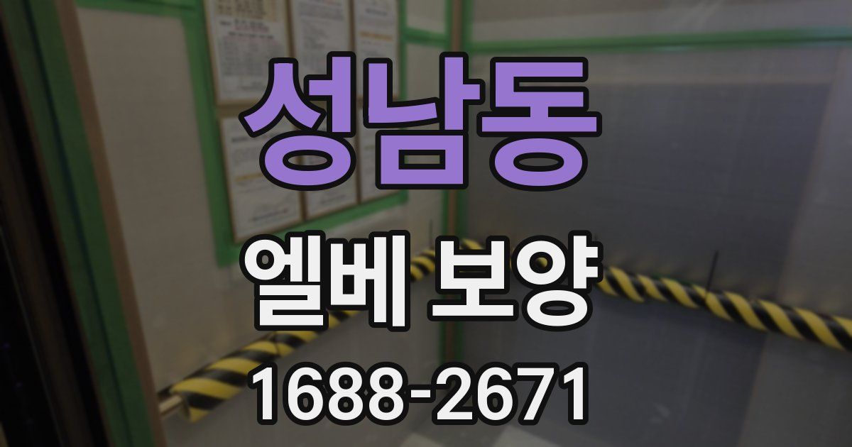 성남동 엘베 보양