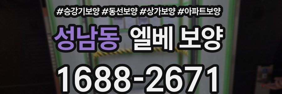 성남동 엘베 보양