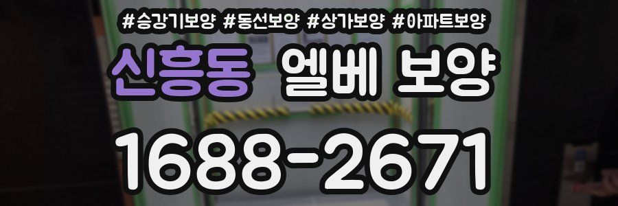 신흥동 엘베 보양