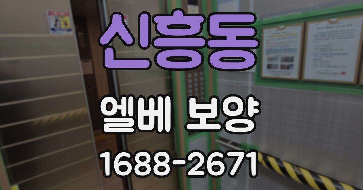 신흥동 엘베 보양