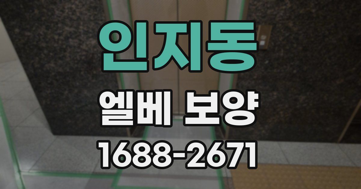 인지동 엘베 보양