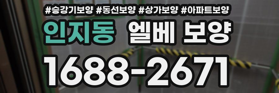 인지동 엘베 보양